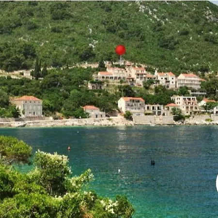 Apartment Yellow Wish *