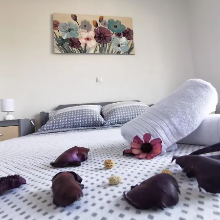 Yellow Wish アパート